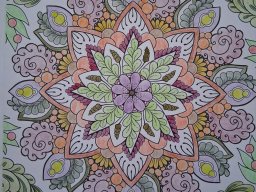 whatsapp image 2026-01-11 at 11.34.07